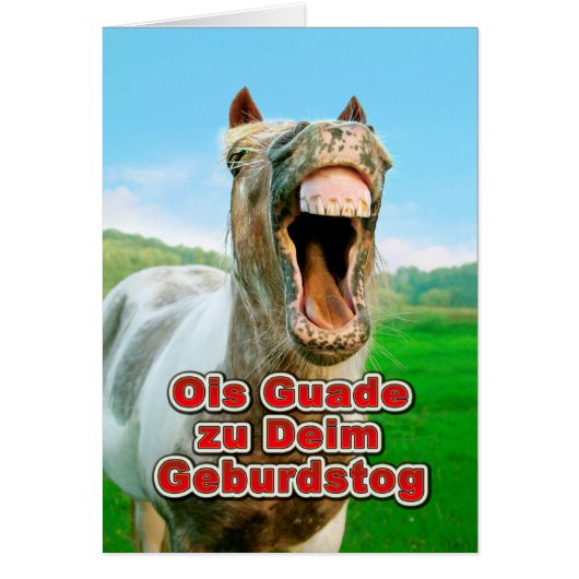 Ois Guade zu Deim Birdstog Cards (Front)