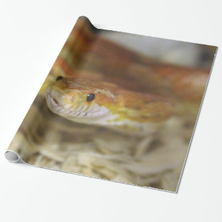 oj the sassy snake wrapping paper