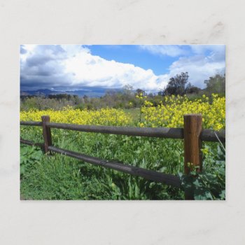 Ojai Meadows Postcard by quetzal323 at Zazzle