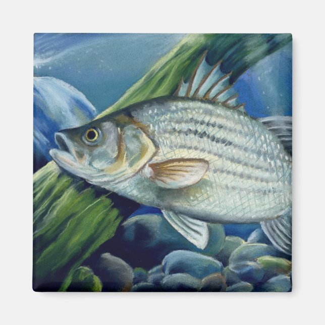 OK 2008 Bowles 1036 high Magnet (Front)