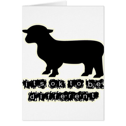 ok black sheep farm (Front)