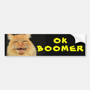 OK BOOMER Funny Cat Meme Bumper Sticker