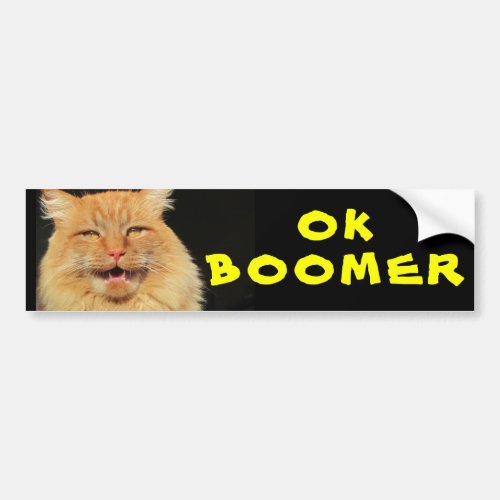 OK BOOMER  Funny Cat Meme Bumper Sticker