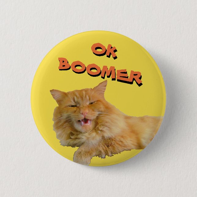 Ok Boomer Talking Cat Meme Button (Front)