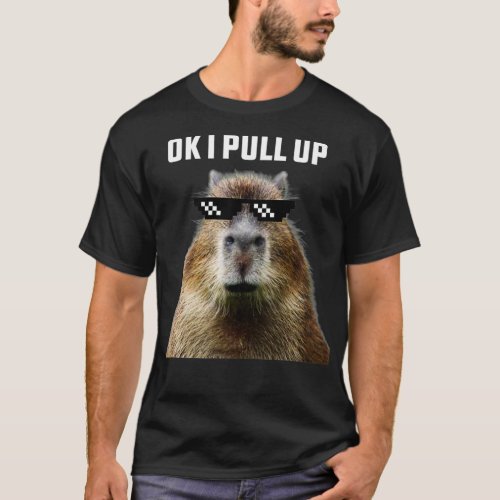 Ok I Pull Up Capybara  6 T_Shirt
