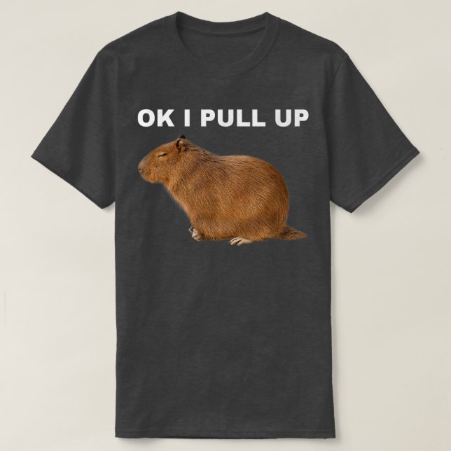 Ok I Pull Up Capybara Funny Meme Cute Animal  T-Shirt (Design Front)