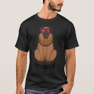 Ok I Pull Up Capybara Sunglasses Beach Capibara H T-Shirt