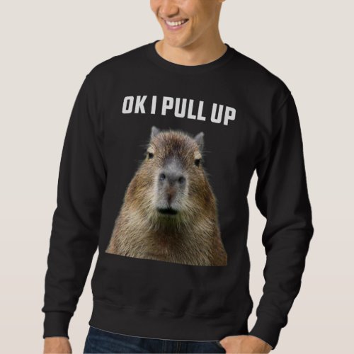 Ok I Pull Up Capybara T_Shirt Sweatshirt