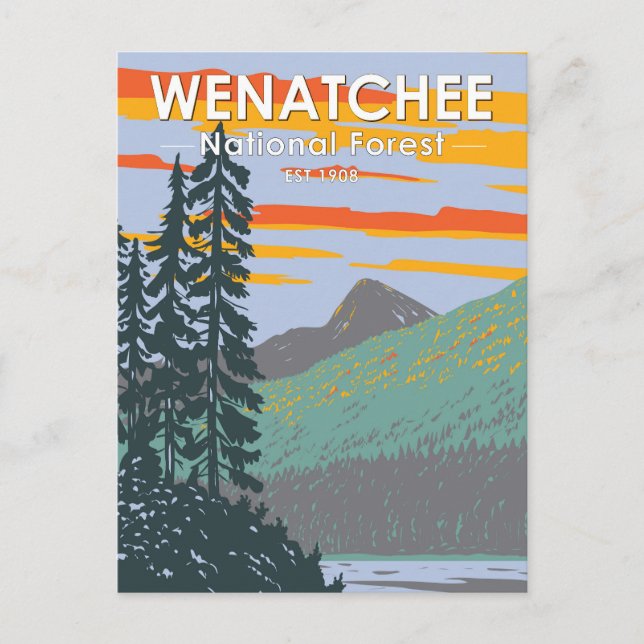 Okanogan Wenatchee National Forest Washington Postcard (Front)