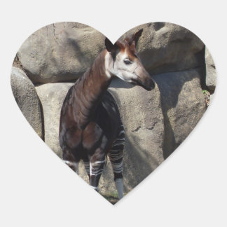 OKAPI HEART STICKER