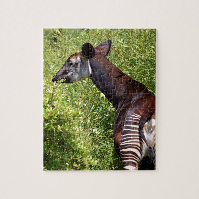 Okapi in the vegetation jigsaw puzzle (Vertical)
