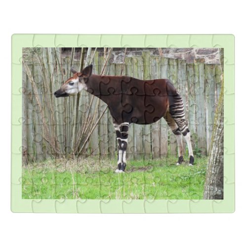 Okapi Jigsaw Puzzle