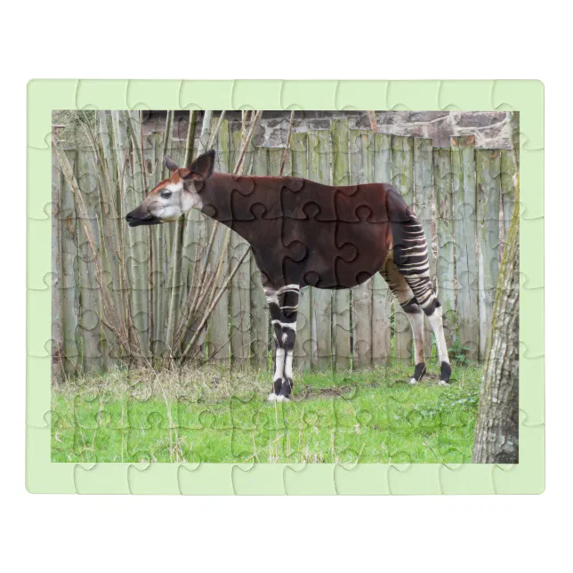 Okapi Jigsaw Puzzle | Zazzle