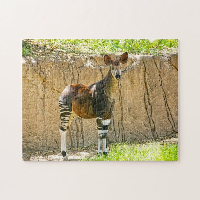 Okapi Jigsaw Puzzle (Horizontal)
