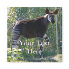 Okapi Magnet
