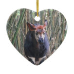 Okapi  Ornament