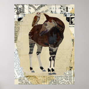 OKAPI & OWL Art Poster