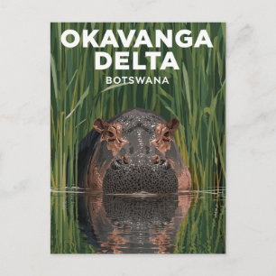 Okavanga Delta Botswana Hippo Wildlife Travel Postcard