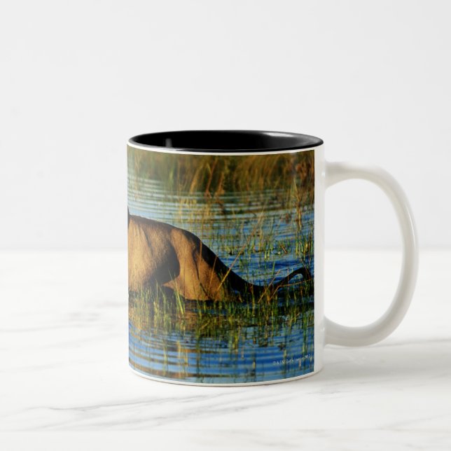Okavango Delta, Botswana 3 Two-Tone Coffee Mug (Right)
