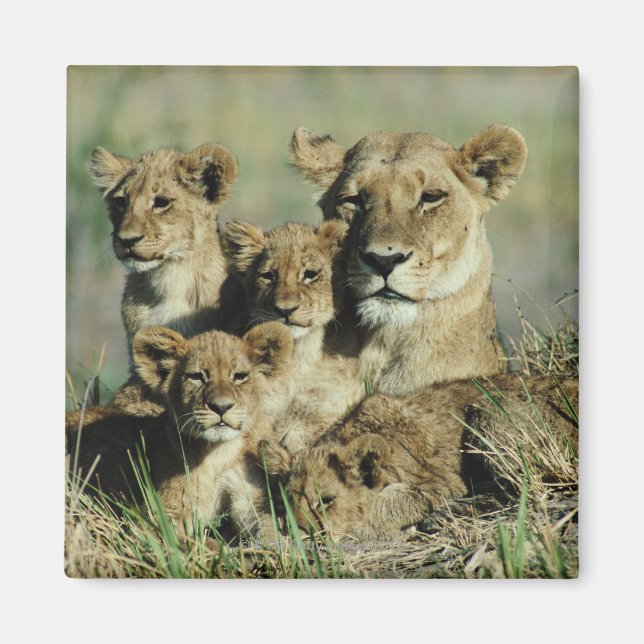 Okavango Delta, Botswana Magnet (Front)