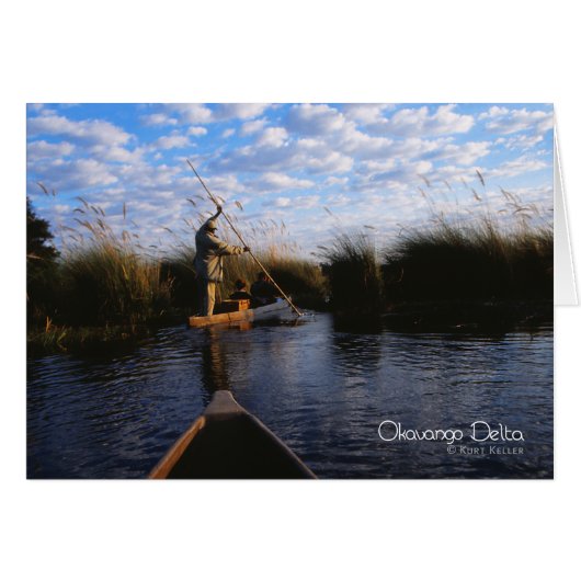 Okavango Delta Cards (Front Horizontal)