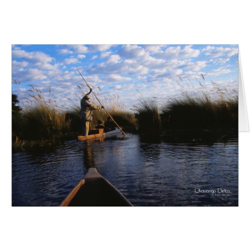 Okavango Delta Photo
