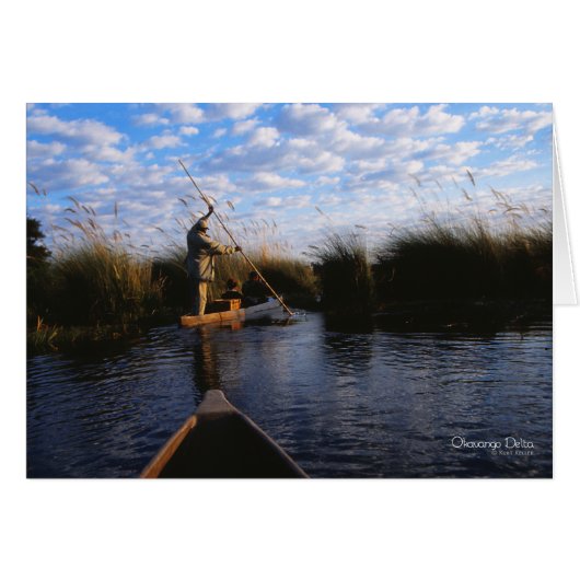 Okavango Delta Photo Cards (Front Horizontal)