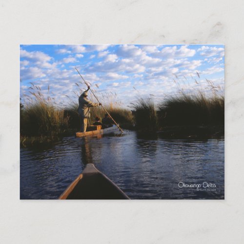 Okavango Delta Postcard