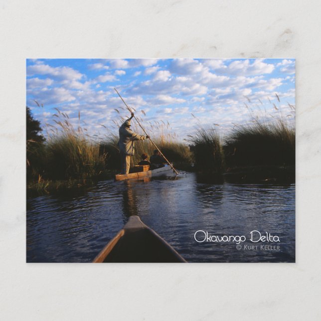 Okavango Delta Postcard (Front)