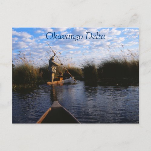 Okavango Delta Travel Postcard