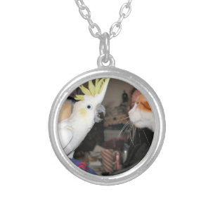 Okay...make myself look Big...not yummy! Silver Plated Necklace