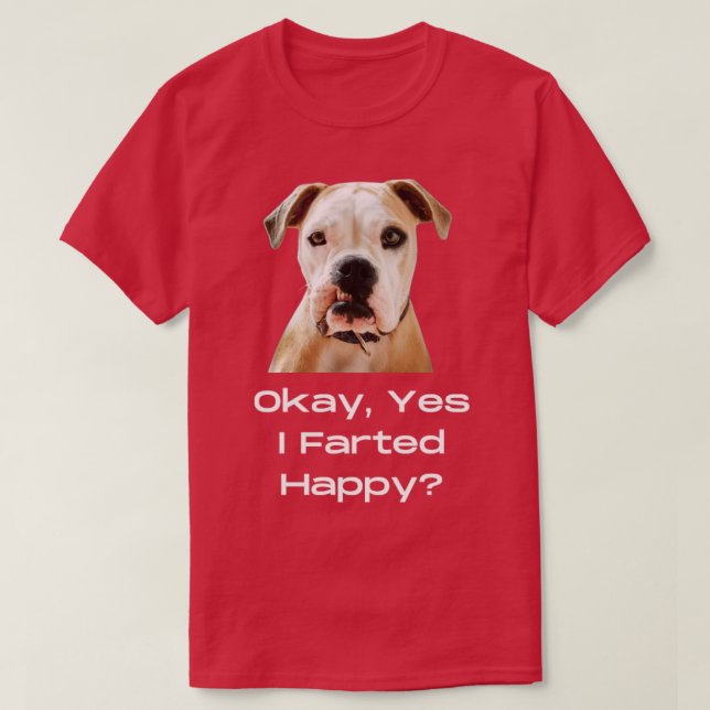 Okay Yes I Farted Happy T-Shirt (Design Front)