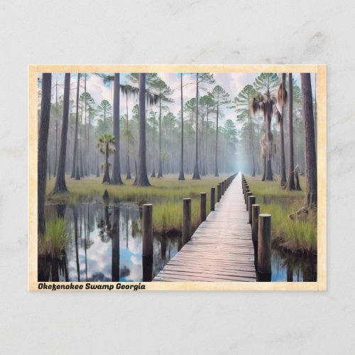 Okefenokee Swamp Georgia Vintage Travel Postcard
