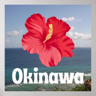 Okinawa Scenic View & Hibiscus Poster
