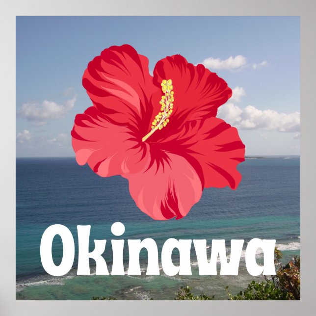 Okinawa Scenic View & Hibiscus Poster (Front)