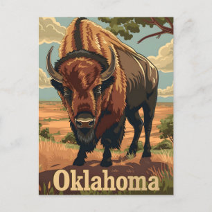 Oklahoma Bison Vintage Postcard