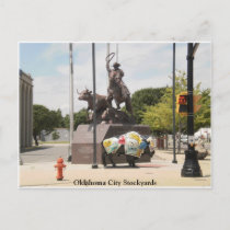 Oklahoma City Stockyards buffalo and cowboy Postcard