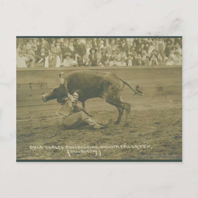 Oklahoma Culy bulldogging. Postcard (Front)