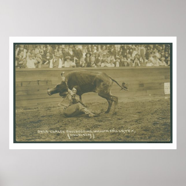 Oklahoma Culy bulldogging. Poster (Front)
