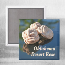 Oklahoma Desert Rose Sand Quartz Rock