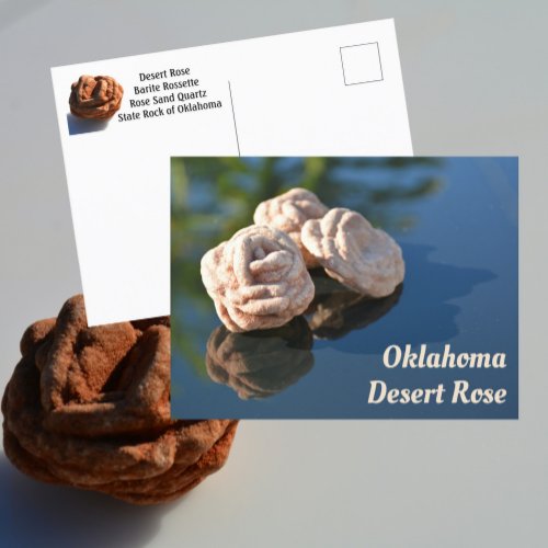 Oklahoma Desert Rose Sand Quartz Rock Photographic Postcard