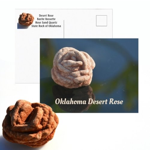 Oklahoma Desert Rose State Rock Photographic Postcard