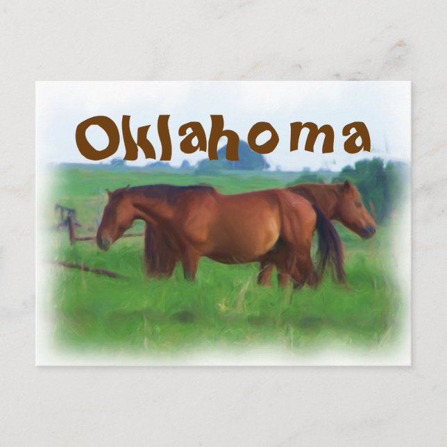 Oklahoma horses 2 postcard (Front)