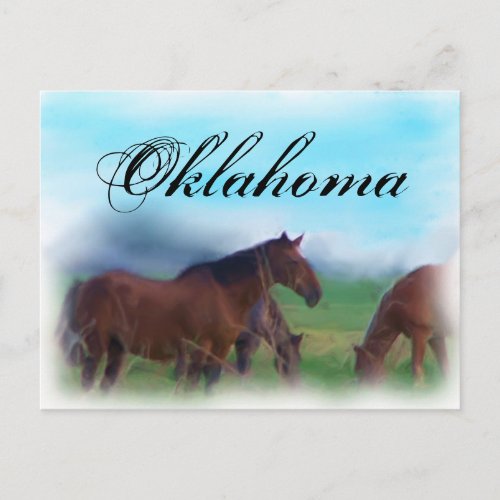 Oklahoma Horses Postcard