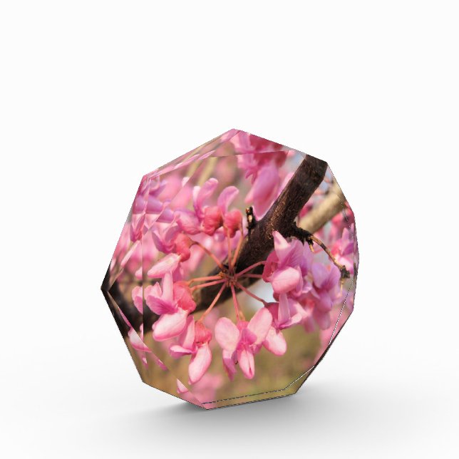 Oklahoma Redbud Award (Left)