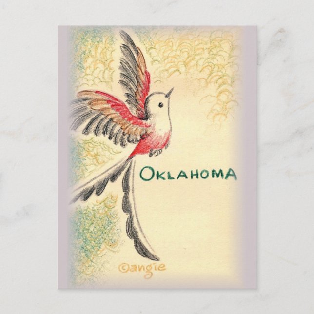 Oklahoma Scissortail Bird Postcard (Front)