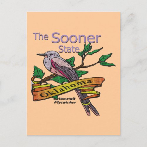 Oklahoma Sooner StateScissortail Flycatcher Postcard