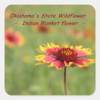 Oklahoma State Flower Stickers