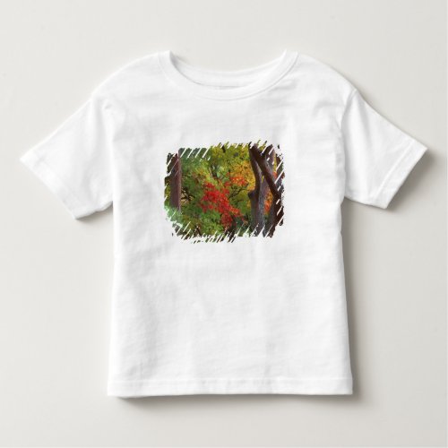 Okochi Sanso Arashiyama Kyoto Japan 5 Toddler T_shirt