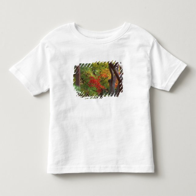 Okochi Sanso, Arashiyama, Kyoto, Japan 5 Toddler T-shirt (Front)